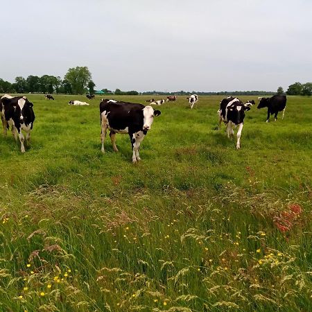 Fewo Unner'D Kastanje Moormerland Esterno foto
