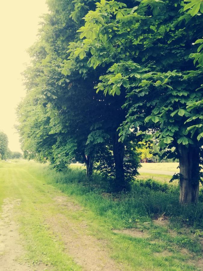 Fewo Unner'D Kastanje Moormerland Esterno foto