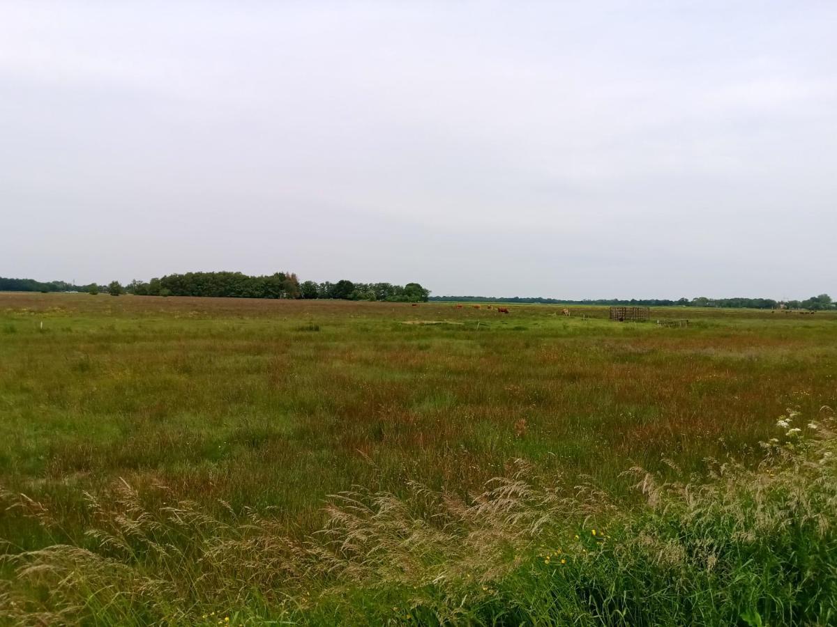 Fewo Unner'D Kastanje Moormerland Esterno foto